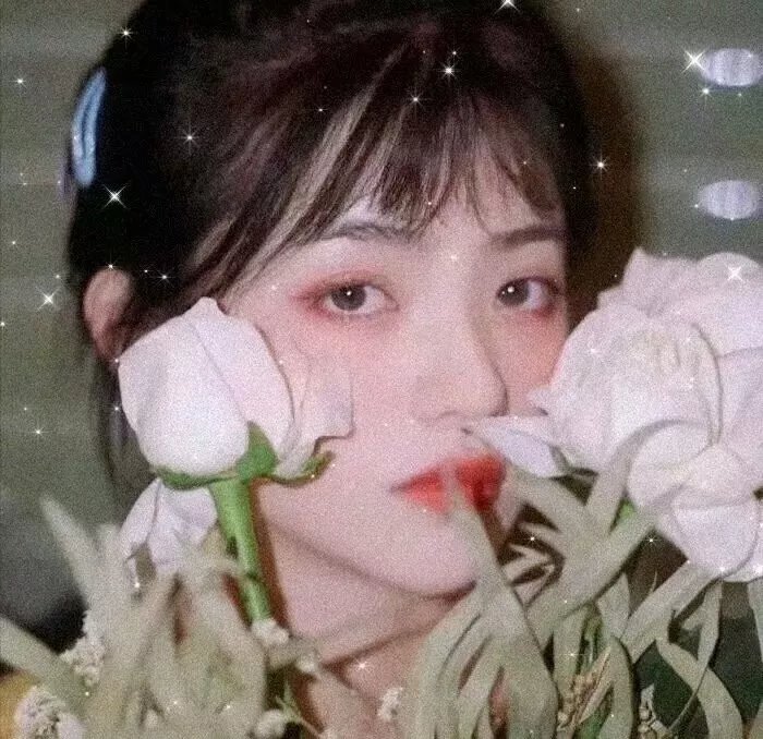 宛若淑女