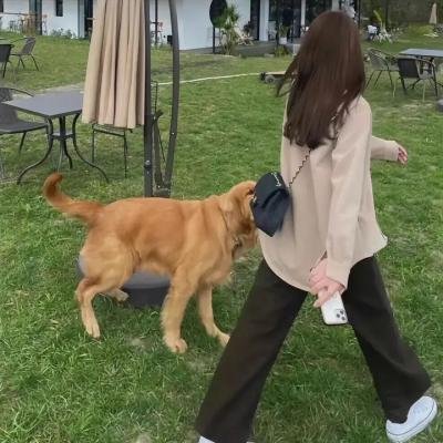 我们的高校时代